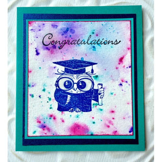 Wise Owl Rubber Stamp