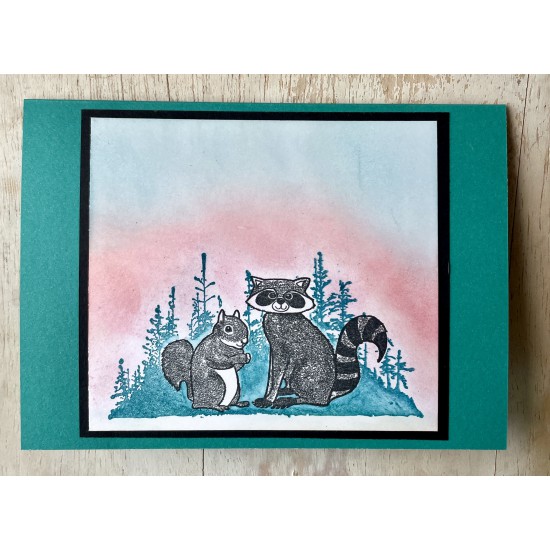 Furry Friends Raccoon and Squirrel Rubber Stamp 