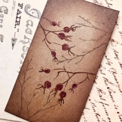 Wild Rose Berries Rubber Stamp Wild Rose Berries Rubber Stamp