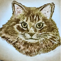 Maine Coon Cat Rubber Stamp Maine Coon Cat Rubber Stamp