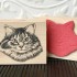 Maine Coon Cat Rubber Stamp