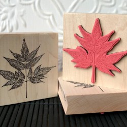 Goat's Beard Rubber Stamp Goat's Beard Rubber Stamp