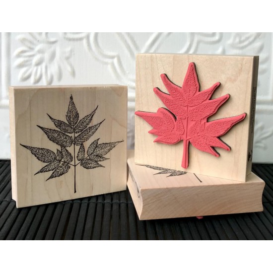 Goat's Beard Rubber Stamp