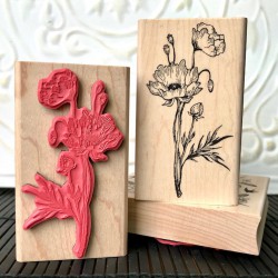 Wild Poppy Rubber Stamp Wild Poppy Rubber Stamp