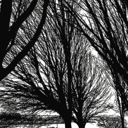 West End Stroll Rubber Stamp West End Stroll Rubber Stamp