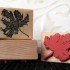 Small Autumn Leaf Rubber Stamp
