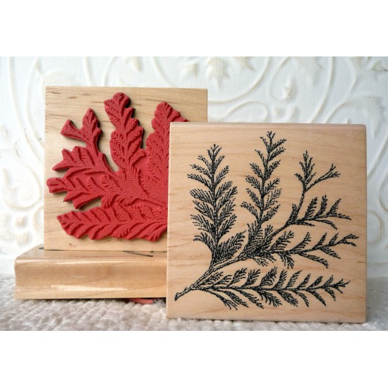 Cedar Bough Rubber Stamp