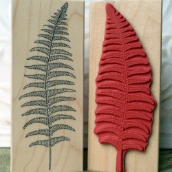 Fern Leaf Rubber Stamp Fern Leaf Rubber Stamp