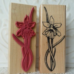 Daffodil Rubber Stamp