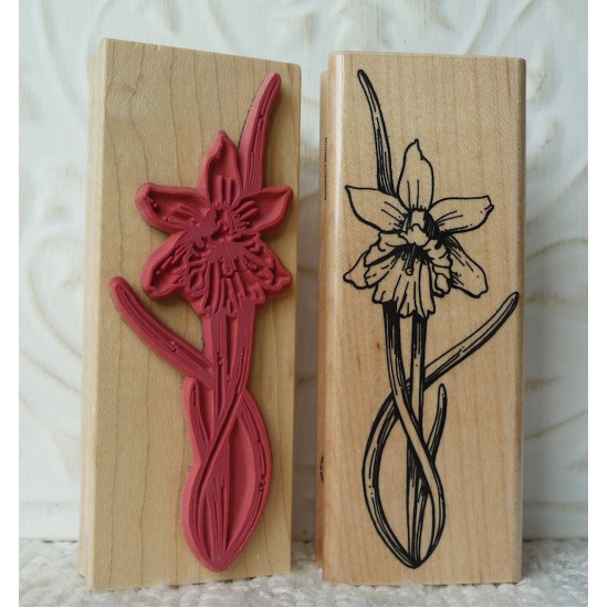 Daffodil Rubber Stamp