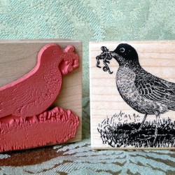 Robin Bird Rubber Stamp