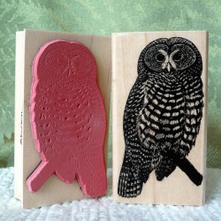 Spotted Owl Rubber Stamp