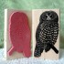 Spotted Owl Rubber Stamp