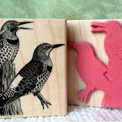 Flickers Bird Rubber Stamp