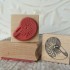 Nautilus Shell Rubber Stamp