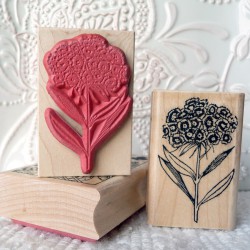 Sweet William Flower Rubber Stamp