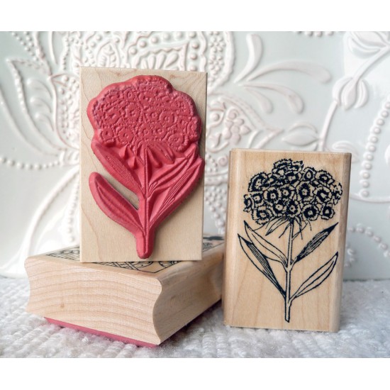 Sweet William Flower Rubber Stamp