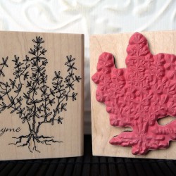 Thyme Rubber Stamp