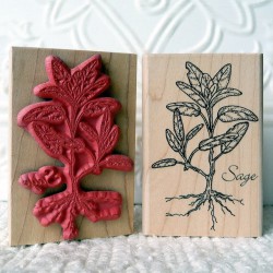 Sage Rubber Stamp Sage Rubber Stamp