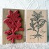 Sage Rubber Stamp