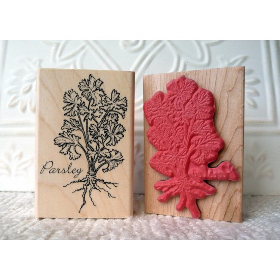Parsley Rubber Stamp