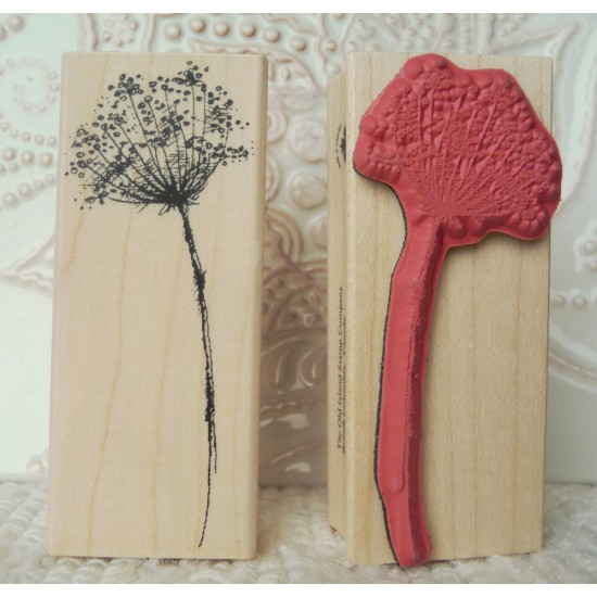 Lacey - Queen Anne's Lace Rubber Stamp