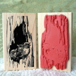 Great Expectations Baby Birds Rubber Stamp Great Expectations Baby Birds Rubber Stamp
