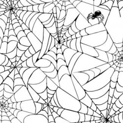 Spider Web Background Rubber Stamp Spider Web Background Rubber Stamp