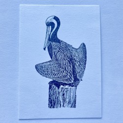 Brown Pelican Bird Rubber Stamp