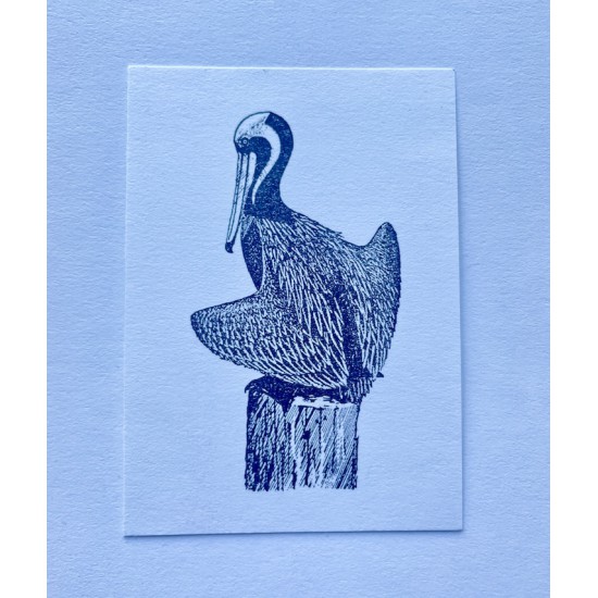 Brown Pelican Bird Rubber Stamp
