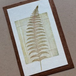 Small Fern Leaf Rubber Stamp Small Fern Leaf Rubber Stamp