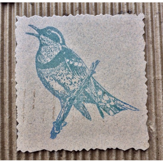 Varied Thrush Bird Rubber Stamp