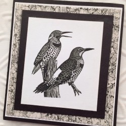 Flickers Bird Rubber Stamp Flickers Bird Rubber Stamp