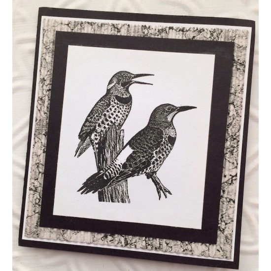 Flickers Bird Rubber Stamp Flickers Bird Rubber Stamp