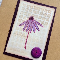 Echinacea Flower Rubber Stamp
