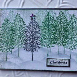 Tall Tree Rubber Stamp Tall Tree Rubber Stamp
