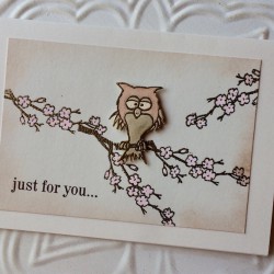 Who gives a hoot owl Rubber Stamp Who gives a hoot owl Rubber Stamp
