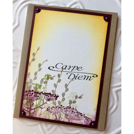 Carpe Diem Rubber Stamp