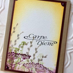 Cow Parsley Flowers Rubber Stamp Cow Parsley Flowers Rubber Stamp